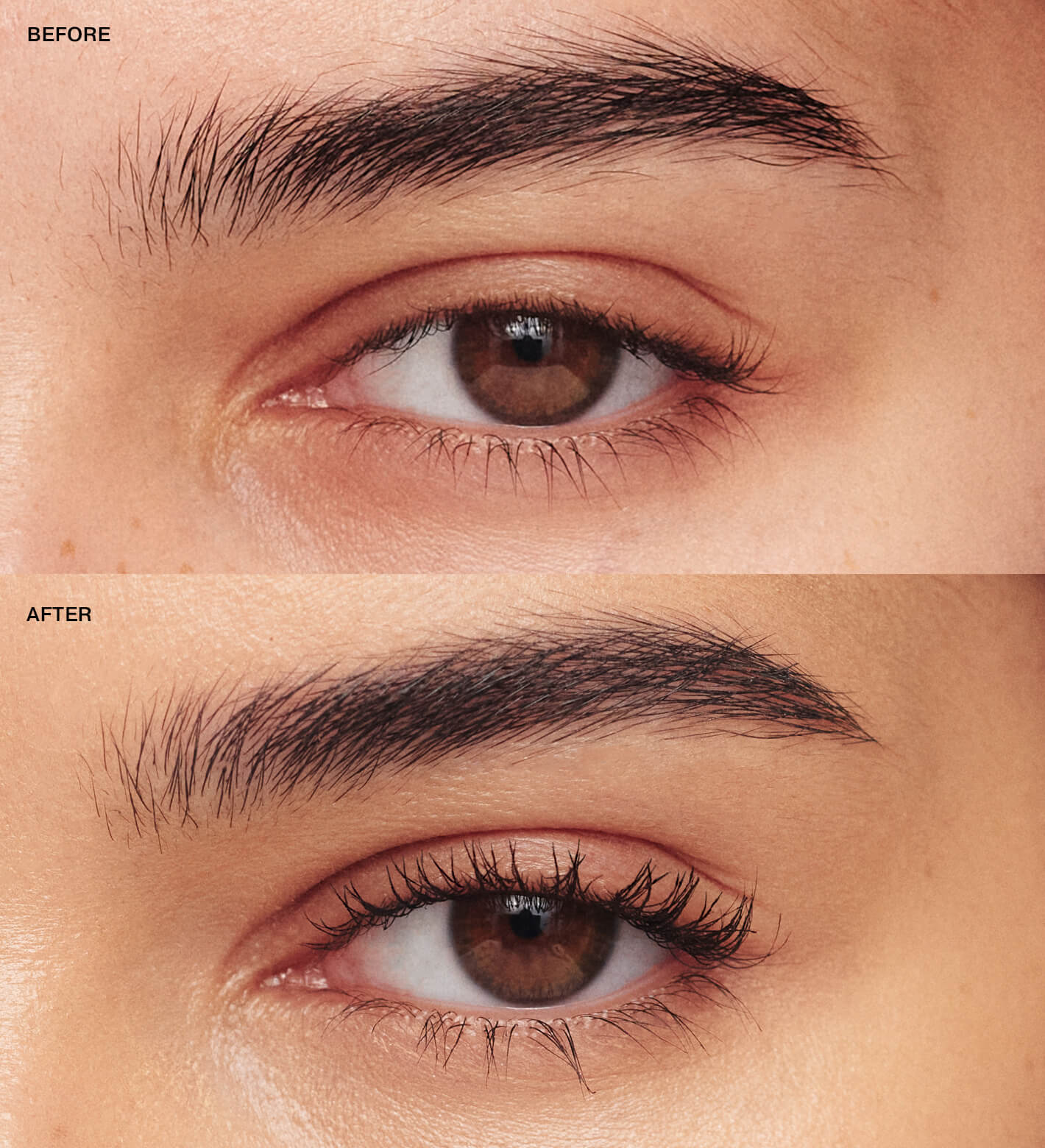 Endless Summer Bundle